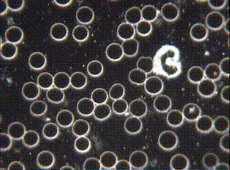 btest1008.gif?zoom=0