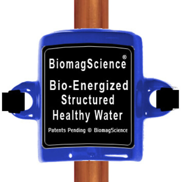 BiomagScience Bio-Negative Energized Structured Hydrogen Water Line Energizer