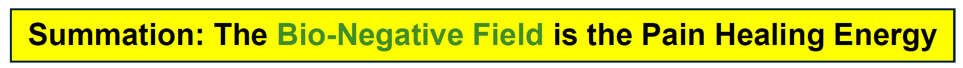 biomag magnet bracelets 0005