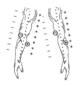 biomag magnet bracelets 0006