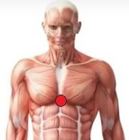 biomag webinar qa 20231016 001