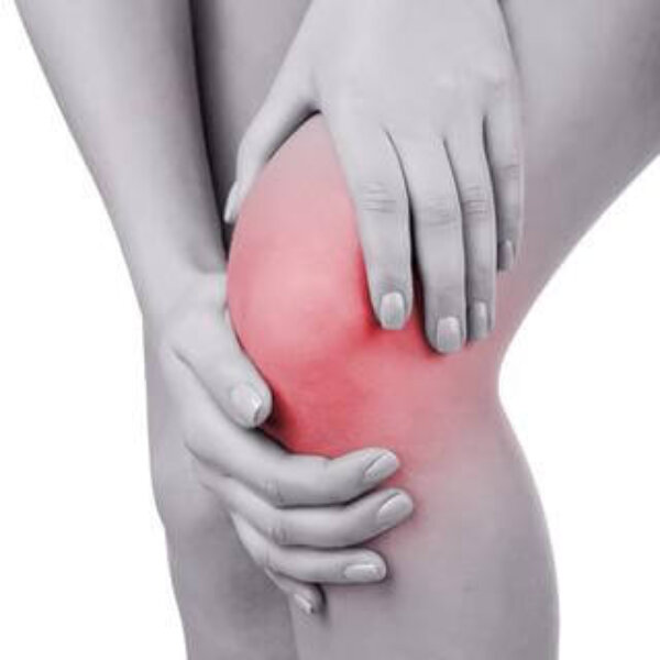 BiomagScience Knee Therapy - Biomagnetic Knee Pain Therapy